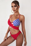 Red American Flag Print Halter Neck Bikini Set LC431218-3