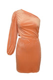 Brown Black/Brown One Shoulder Bubble Shoulder Cut-out Bodycon Mini Dress LC2210004-17