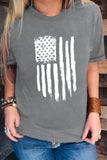 Gray America Flag Print Short Sleeve Crewneck T-shirt LC25213987-11