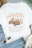 White Fresh Pumpkins Leopard Truck Graphic Tee LC25218175-1