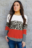 leopard color block sweater