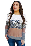 leopard color block sweater