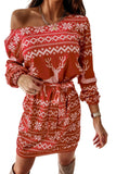 Women's Christmas Long Sleeve Mini Dress Snow Reindeer Dress
